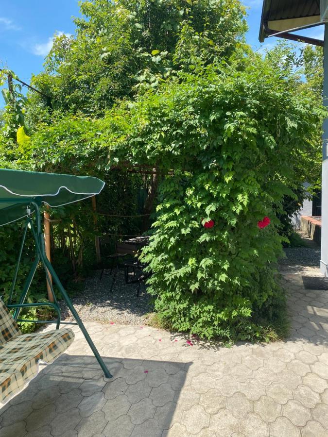 Гостевой Дом «Green Garden» Sukhumi Esterno foto